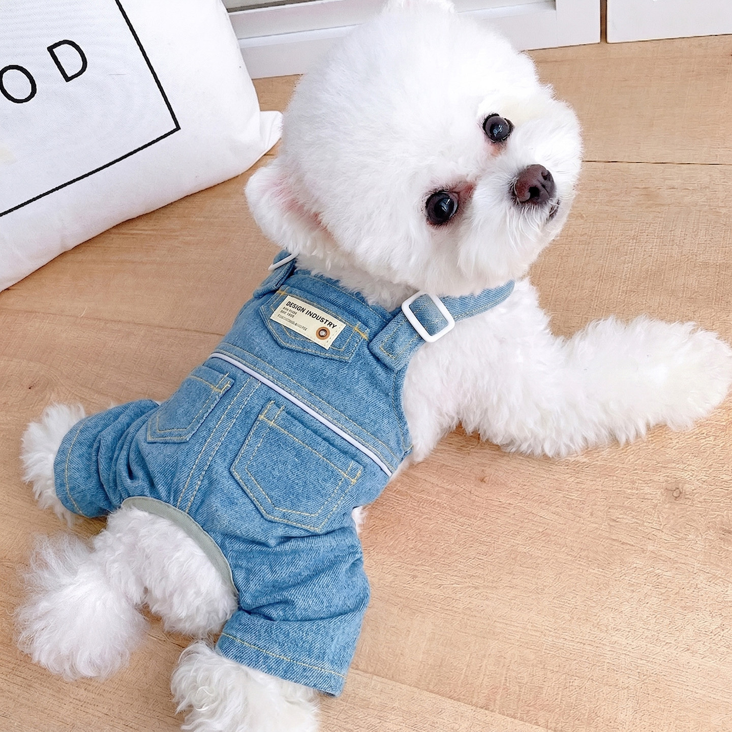 狗狗衣服小狗背带裤小型犬宠物柯基比熊泰迪雪纳瑞夏天四脚衣薄款图片