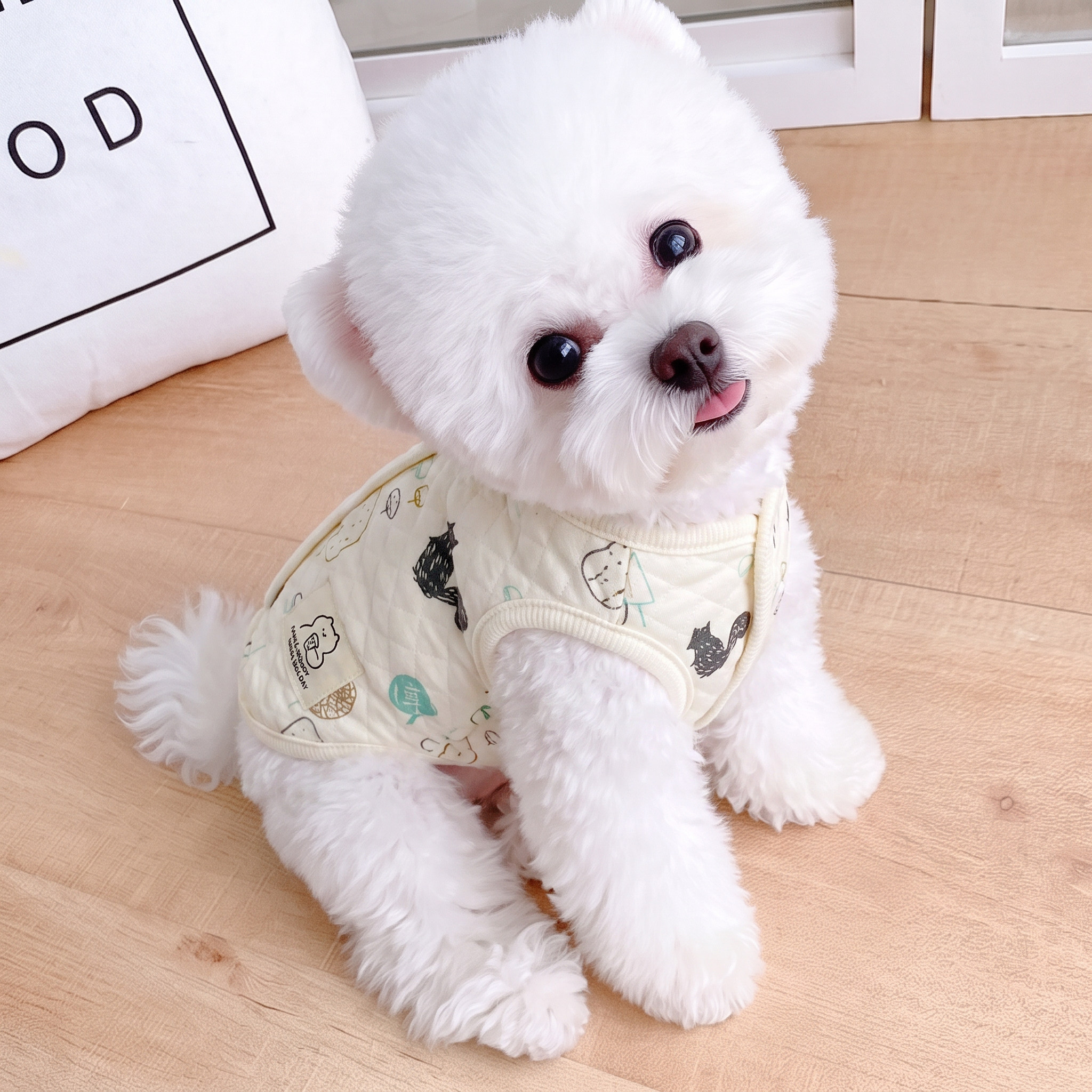 婴儿棉背心狗狗秋冬款宠物小型犬泰迪比熊博美猫咪雪纳瑞衣服冬天