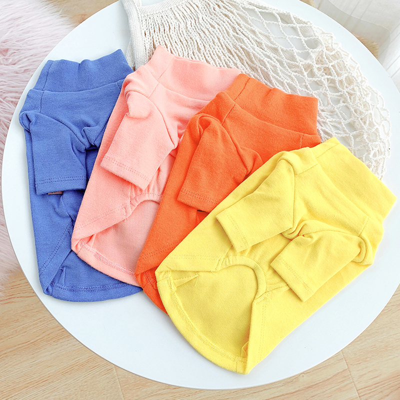 糖果打底衫春夏搭配猫咪泰迪宠物