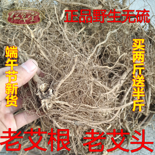 潮汕艾根五月野生老艾根艾叶根小叶艾根大叶艾草根 艾头500g包邮