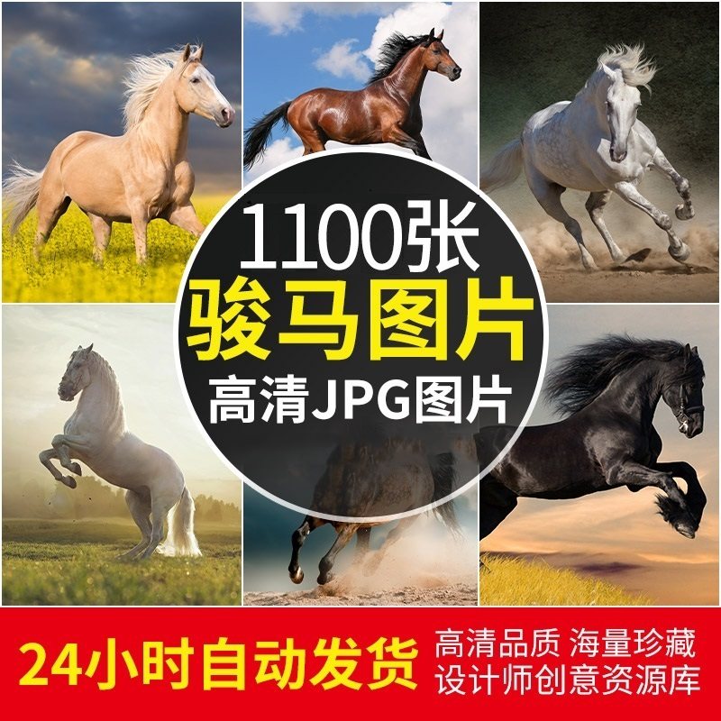 4K高清摄影马匹马群超清图集骏马壁纸照片海报设计PS图片临摹素材,商务/设计服务,设计素材/源文件,淘宝优惠券,粉丝福利购,淘宝优惠卷