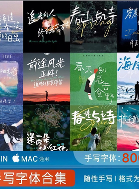 手写中文字体下载个性水印签名海报ps/ai设计素材procreate字体包