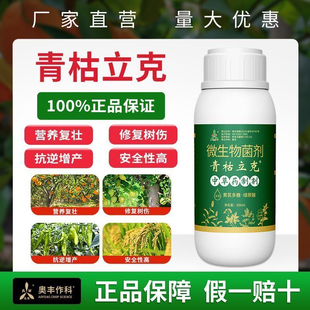 奥力克-青枯立克-番茄茄子辣椒黄瓜青枯茎基腐猝倒枯黄萎
