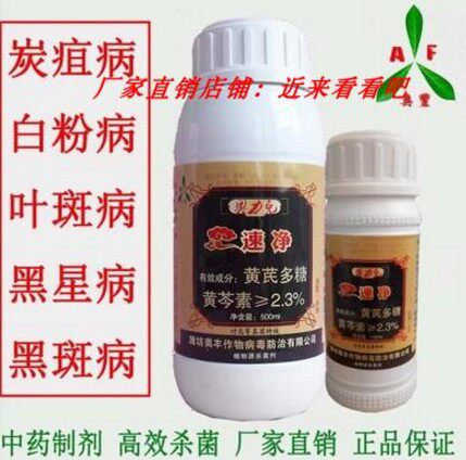 奥力克速净-黄瓜西瓜草莓炭疽病白粉病黑星病锈病月季黑斑病