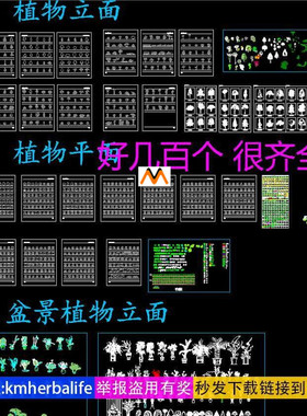 H448景观设计常用乔木植物立面平面盆景植物立面图库图块CAD图纸