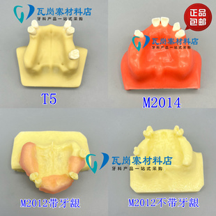 口腔种植练习模型上颌窦提升术模型学生实操练习打孔栽钉种植模具