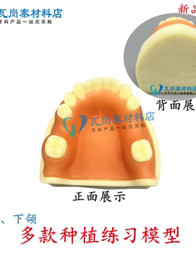 口腔种植练习模型-PIM-34,种植练习、缝合练习，骨质硬度1-4类，