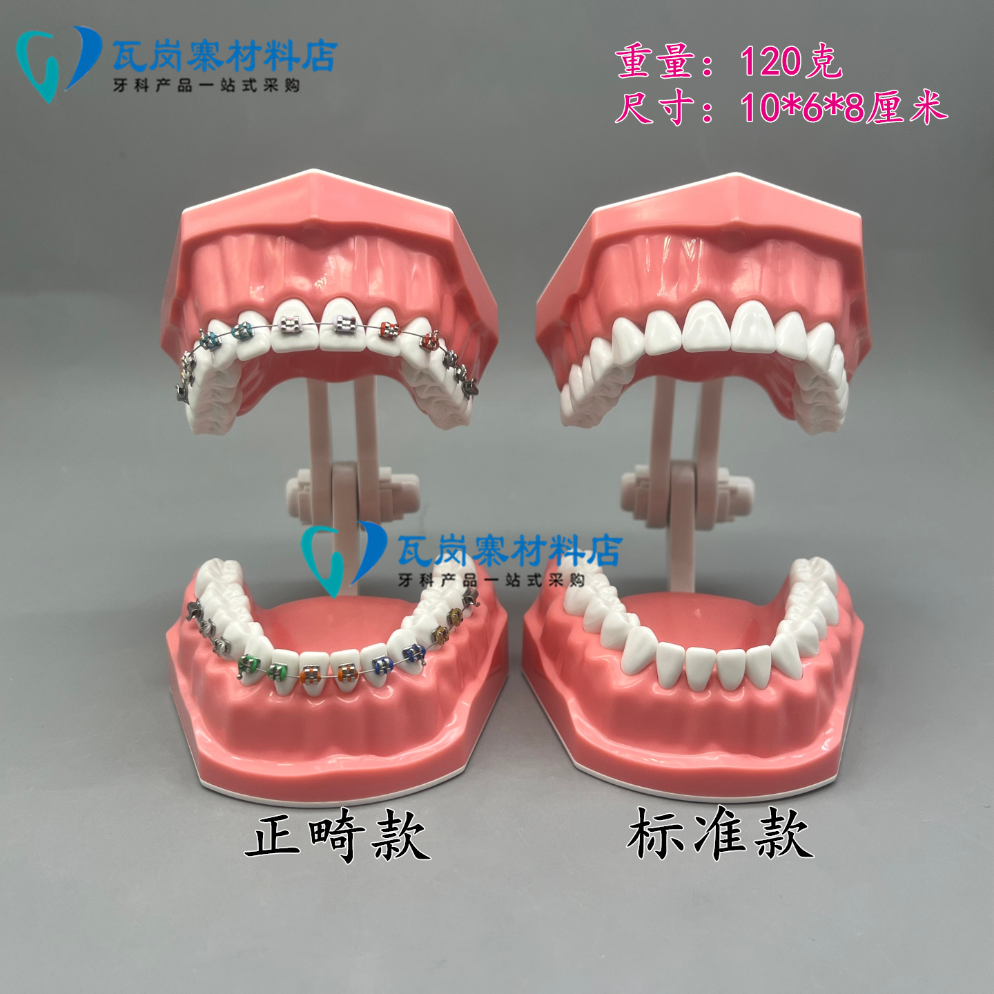 牙科标准正畸模型 带弓丝结扎圈 医患沟通 示范讲解托槽练习模型