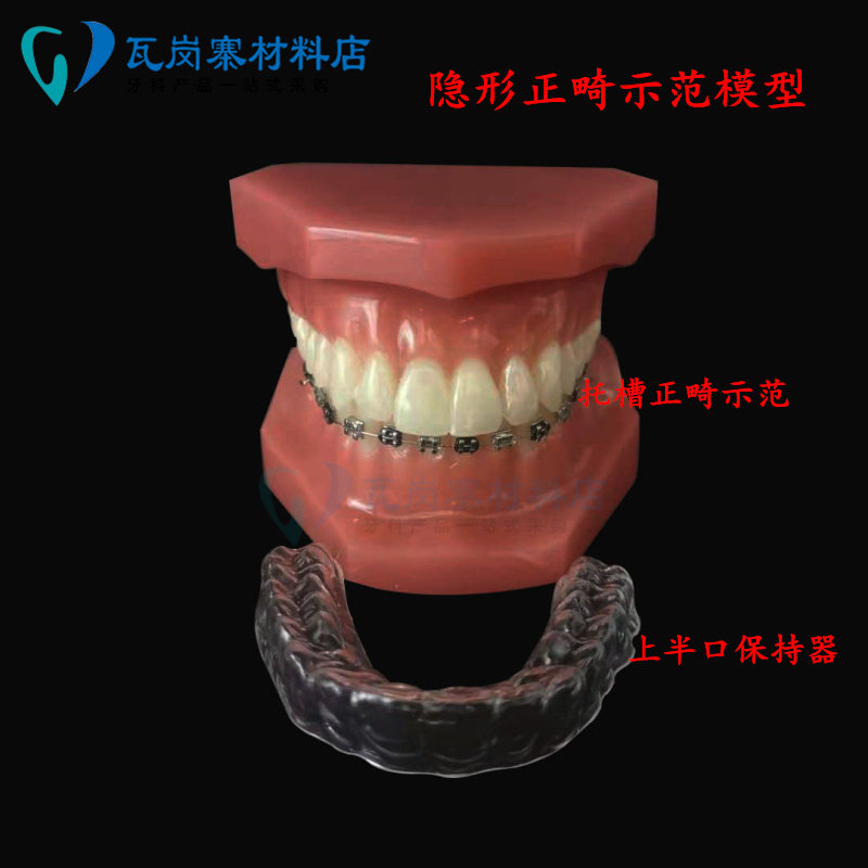 牙科 口腔隐形正畸模型 保持器示范  钢丝透明牙套 托槽对比 包邮