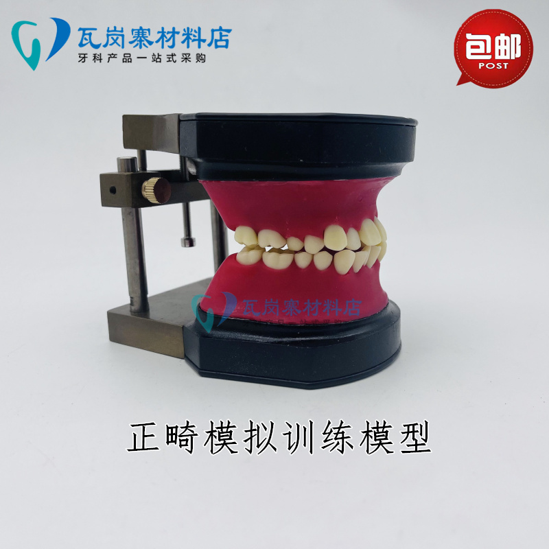 牙科口腔 正畸训练模型 牙齿矫正练习弓丝弯制Typodont 可变蜡堤