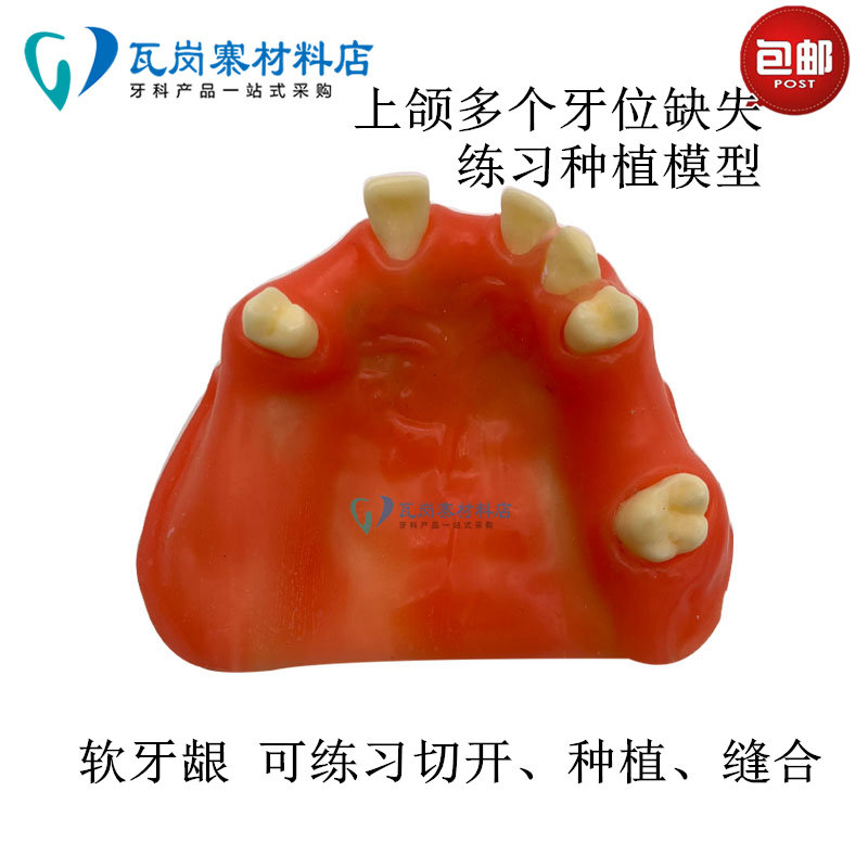 牙科种植牙齿模型 牙齿种植练习上颌窦提升术 软牙龈练习切开缝合
