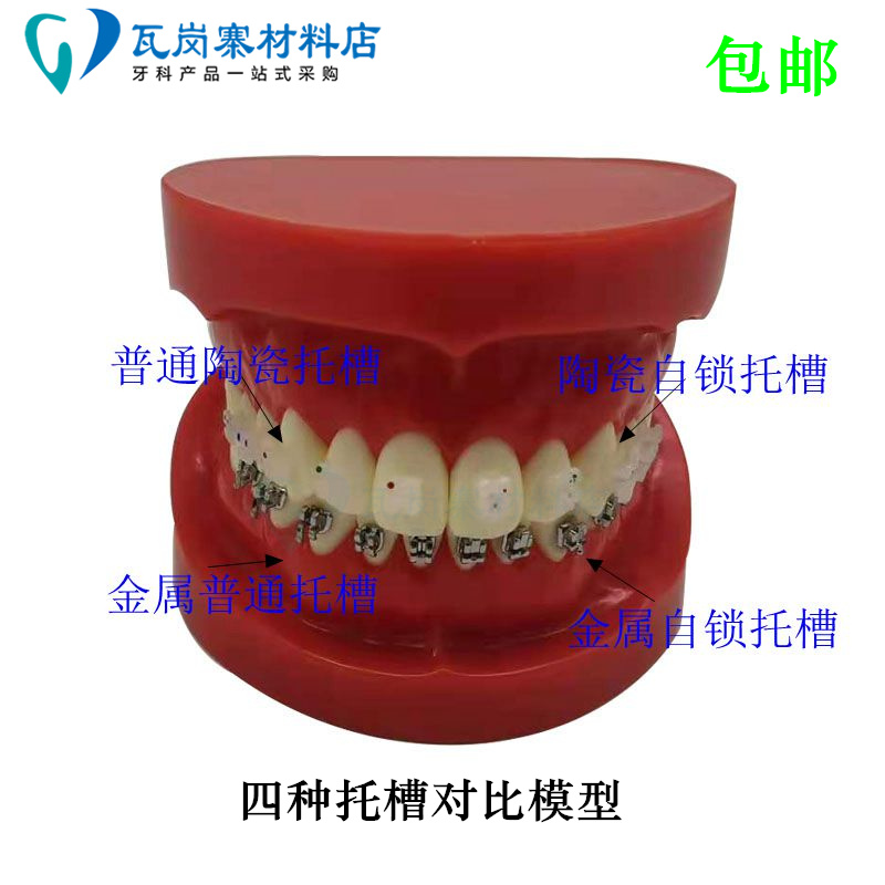牙科口腔模型 4种托槽对比模型 正畸陶瓷、金属自锁托槽示范 包邮