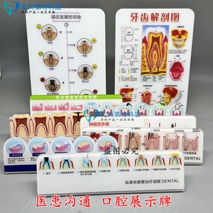 牙科医患沟通工具 摆台挂图根管治疗流程摆台窝沟封闭流程展示