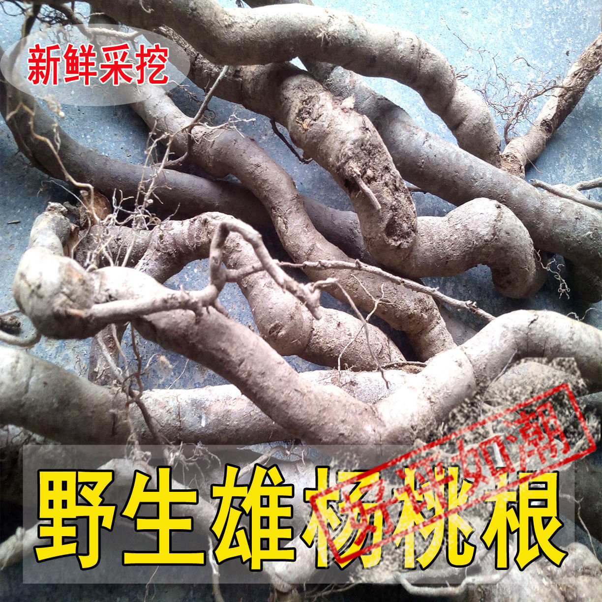 野生新鲜中草药材