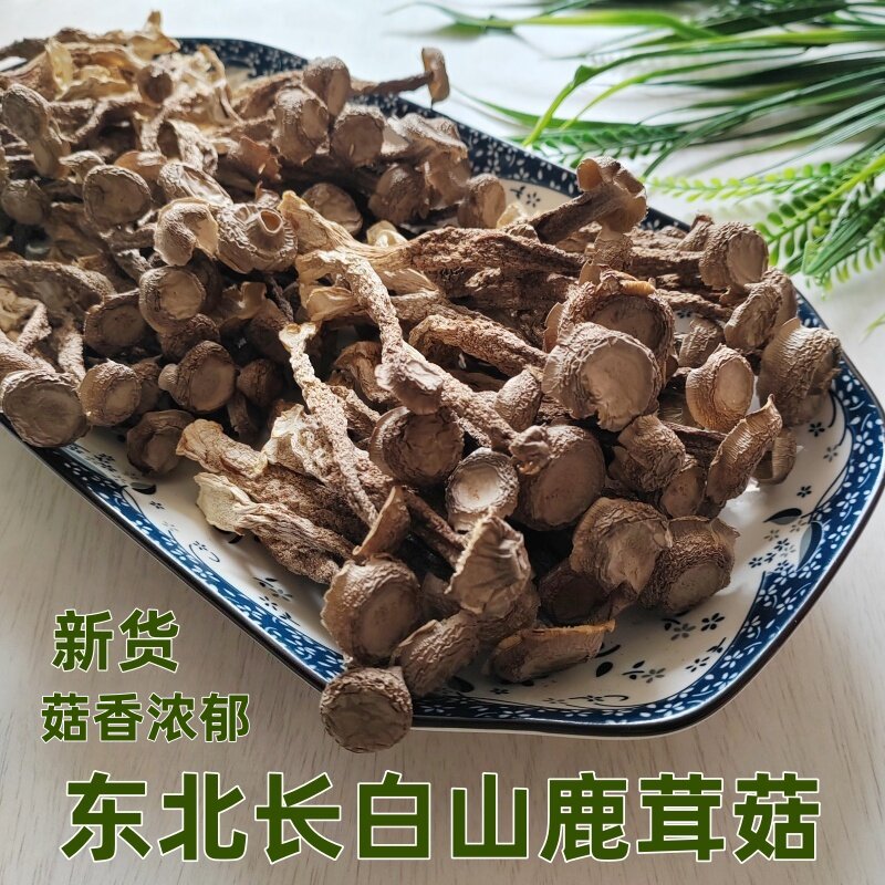 长白山鹿茸菇干货特产级山珍蘑菇东北土特产优质鹿茸菌礼盒装送礼