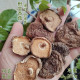 有礼盒装 干蘑菇野山菌 野生菌 干香菇净重250g 福建野生香菇干货