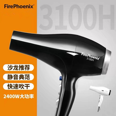 正品火之凤电发廊专业大功率风力