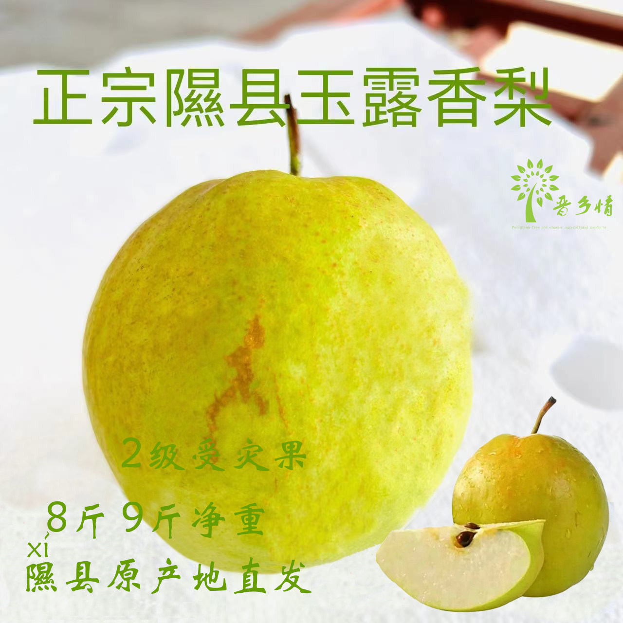 隰县玉露香梨山西特产小西天梨应梨