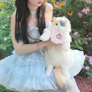 抖音同款三花猫仿真猫咪玩偶娃娃公仔毛绒玩具布偶猫背包生日礼物