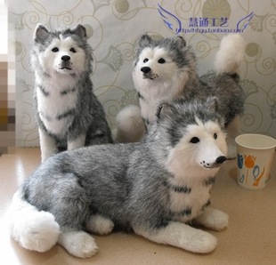 仿真哈士奇狗狗 静态动物名犬模型 客厅装 饰品 儿童孩子生日礼物