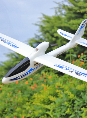 伟力F949 F959 A600航模固定翼滑翔机 塞斯纳 新手教练机 入门机