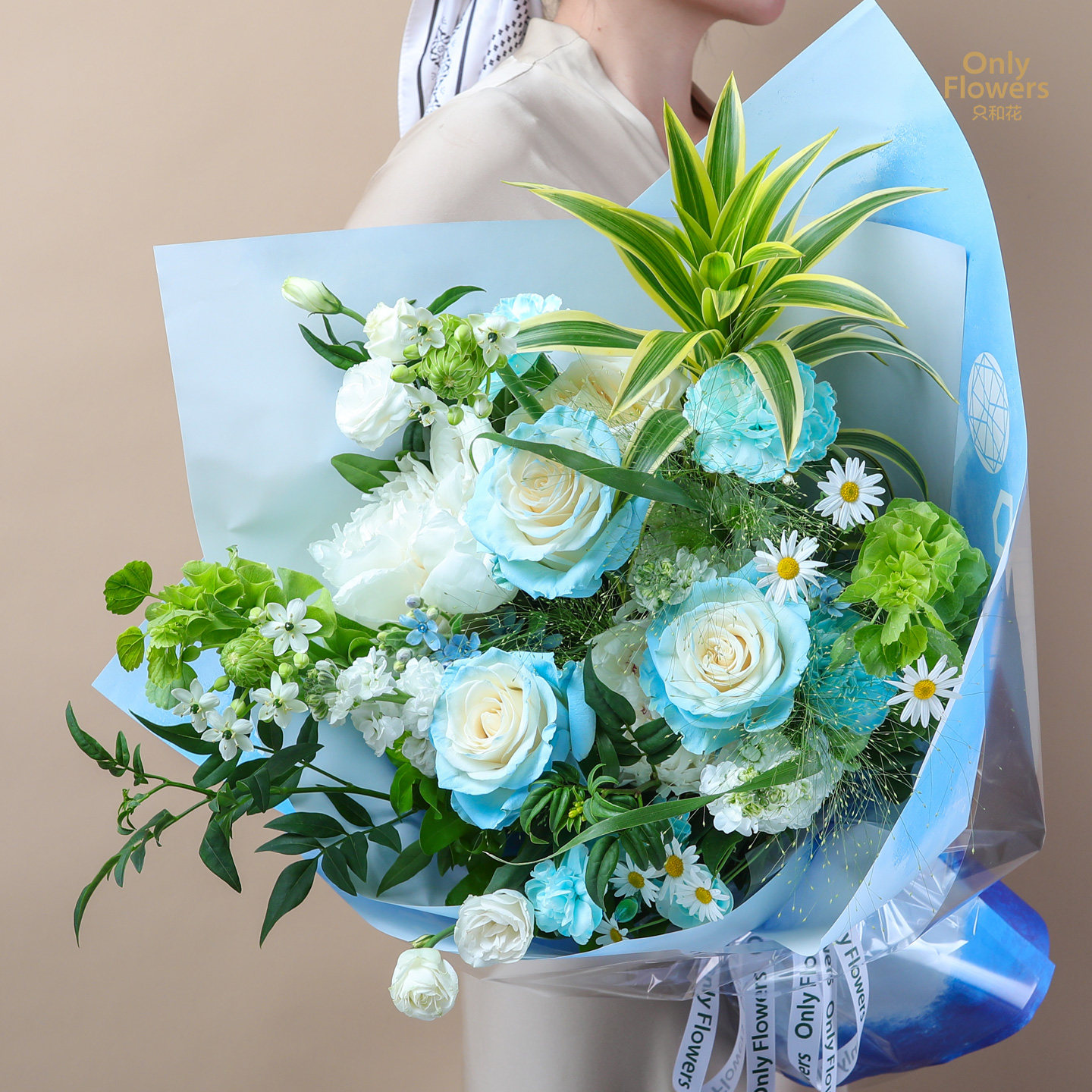 碧海晴沙｜厄瓜多尔LAUREL玫瑰白芍药花束生日毕业感谢鲜花