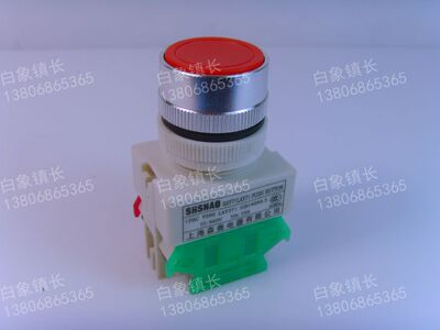 森奥 平头按钮开关 自锁按钮 SAY7-11BNZS LAY37  Y090-11BNZS