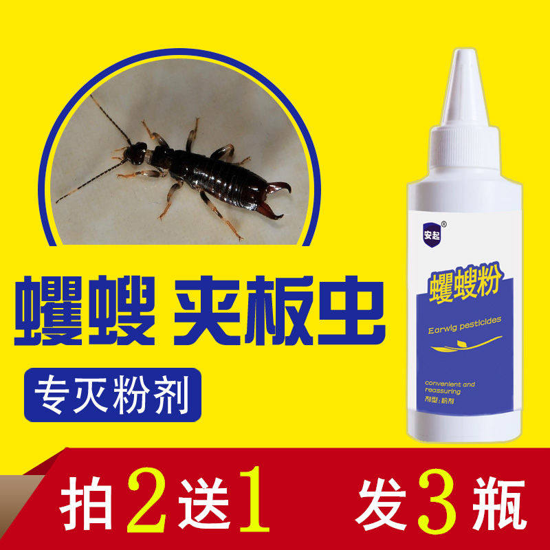 安起灭蠼螋粉专杀夹子夹板虫药除卫生间下水道杀虫剂床上灭绝粉剂