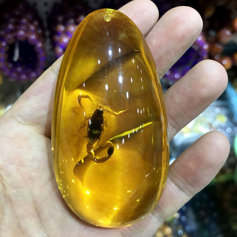 天然昆虫人工琥珀蝎子王项链标本吊坠创意男人装饰品儿童礼物挂件