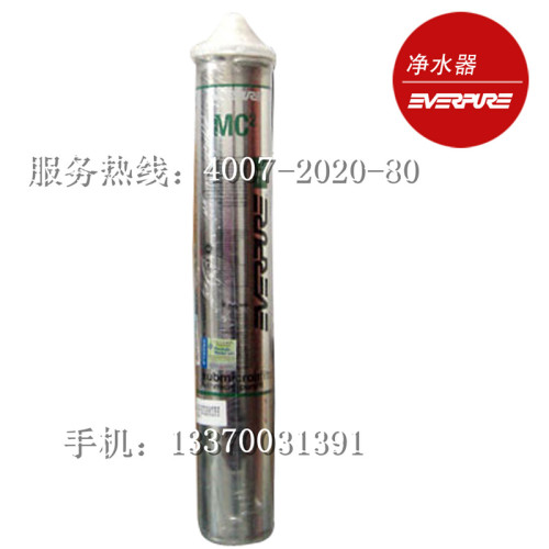 正品防伪美国EVERPURE爱惠浦i2002滤芯大流量家 商用净水机滨特尔
