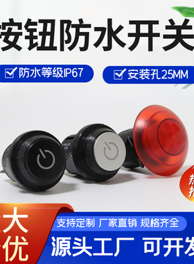 新品RLEIL按钮开关防水防尘带锁按键安装孔25MM 带LED灯220V 包邮