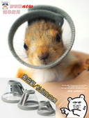 松鼠蜜袋鼯仓鼠花枝防咬圈伊丽莎白圈 涂药洗澡小宠用品透明可调