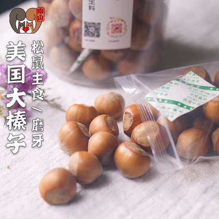 生料大榛子松鼠主食饱满坚果磨牙神器互动粮食食物吃的口粮