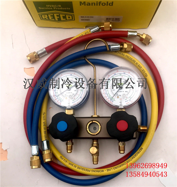 威科Refco表组BM2-6-DS-R22