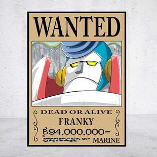 动漫5D钻石画海贼王OP通缉令弗兰奇方圆钻满贴十字绣满绣印花包邮