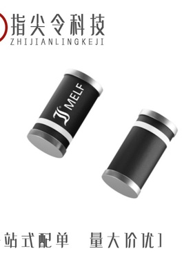 SM4003PL-TP/SM4004PLHE3-TP/SM4006PL-TP