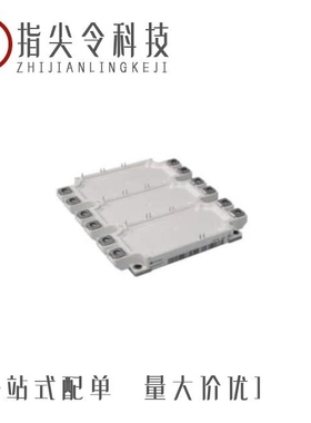 FS30ASJ-2-T13#B00/FS30KMJ-3#B00/FS30KM-3#B00