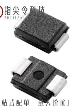 P2500SALRP/P2400AA61L/P2500SCLRP