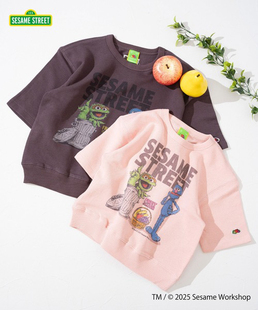 卫衣男女童外贸童装 日本fruit loom联名纯棉薄毛圈短袖 the