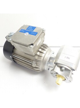 Rexroth 3 842 547 992 Drehstrom Motor 3842548306 + Aufsteckg