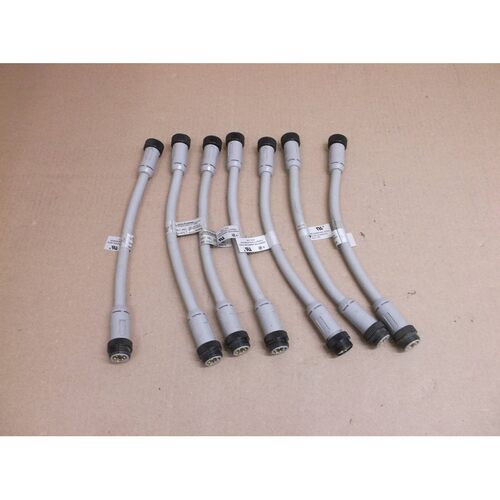 DN11A-0010 Brad Harrison Nuovo Devicenet 5P 0.3m Maschio/Fem