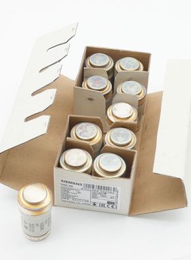 10x Siemens NEOZED 5SE2 300 5SE2300 100A 400V Sicherungseins