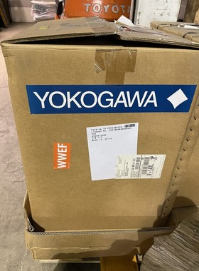 全新 12 英寸 YOKOGAWA FLOWMETER AXG300 / axg300-ceff2ba1at21