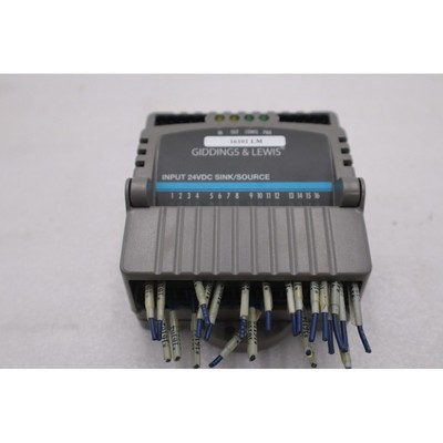 Giddings & Lewis M.1300.7372 R1 输入模块 24VDC 粉色/来源库存