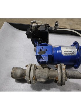 1英寸Jamesbury不锈钢球阀QUADRA-POWR II库存S-621