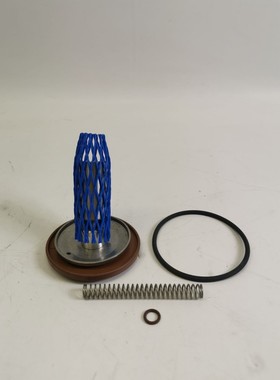 BURKERT DN25 FPM VA 50 HZ 00015182 Verschlei?teilsatz