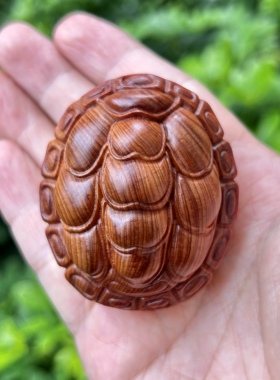 天然崖柏木雕刻富甲天下龟甲龟壳文玩手把件随身把玩招财桌面摆件