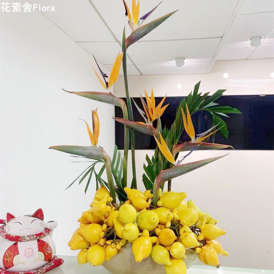 花素舍Flora 全国包邮五代同堂黄金果2022年台花天堂鸟蝴蝶兰鲜花