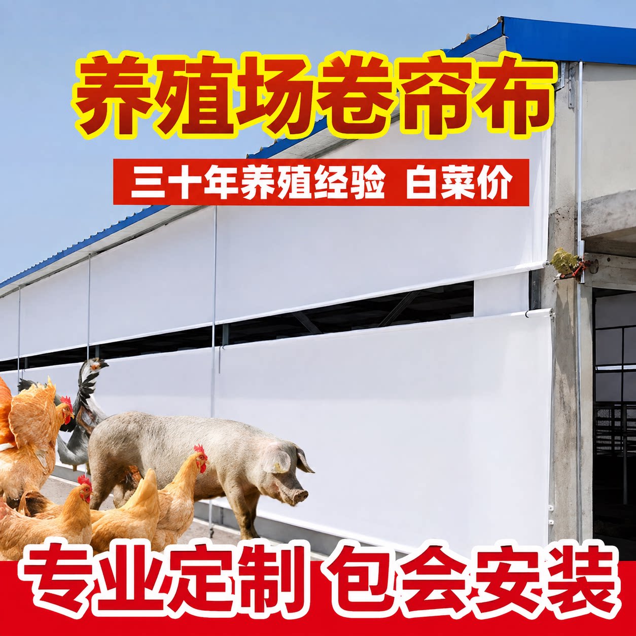定做养殖猪场卷帘布抗老化保温防雨水寒挡风透光加厚厂家批发量大