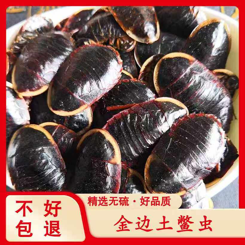 包邮金边土元虫土鳖虫地鳖虫土别野生正品干货散装无硫中药材500g